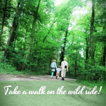 Take a walk on the wild side! 13 gute Gründe jetzt in Bewegung zu kommen: